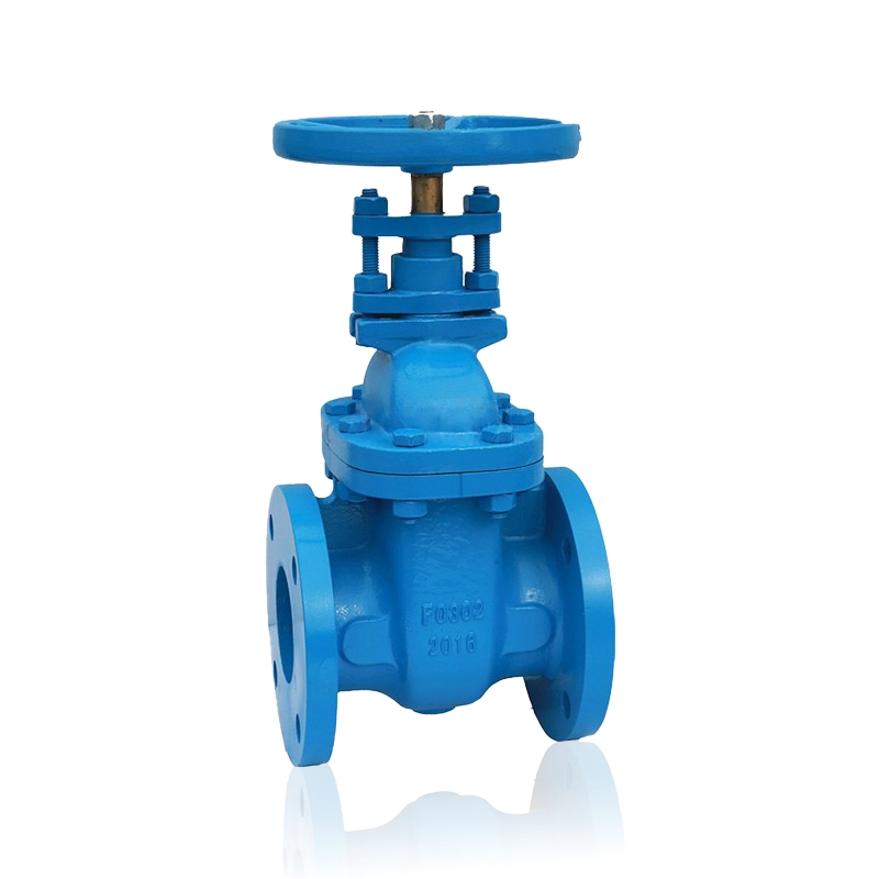 ANSI Cast Iron Non-Rising Stem Gate Valve
