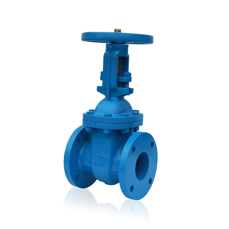 ANSI Cast Iron Rising Stem Gate Valve2