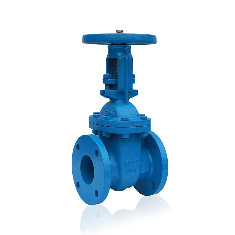 ANSI Cast Iron Rising Stem Gate Valve