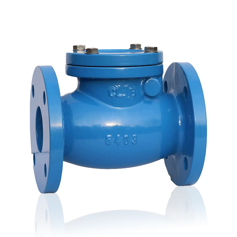 ANSI Cast Iron Swing Check Valve