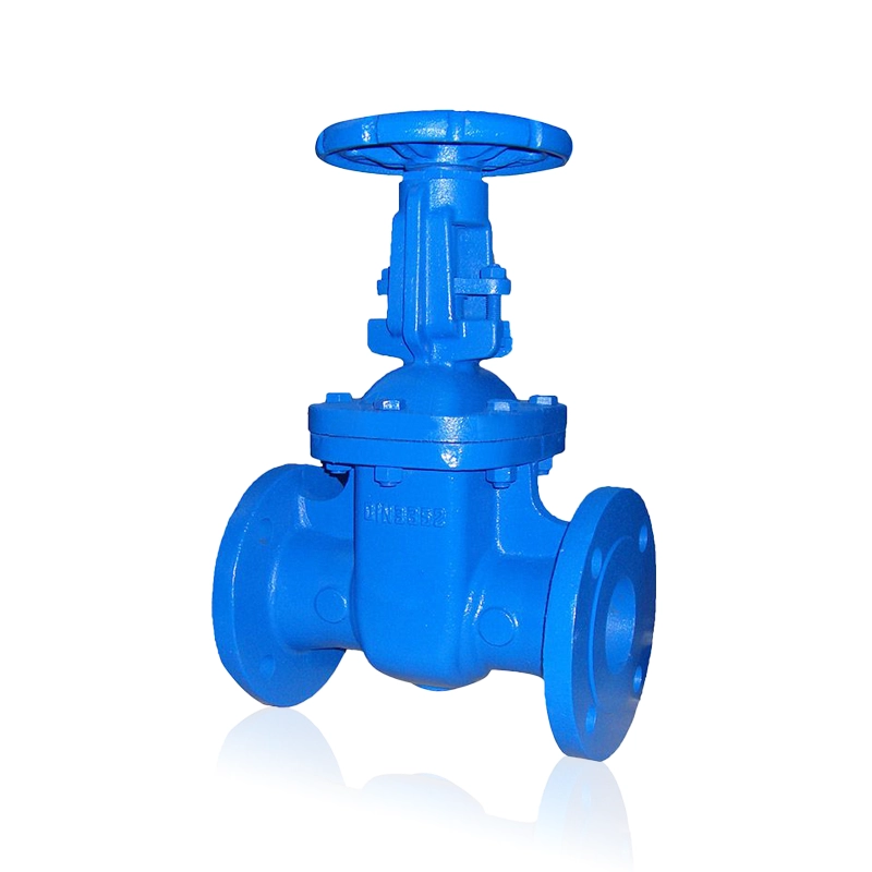 DIN Cast Iron Rising-Stem Gate Valve