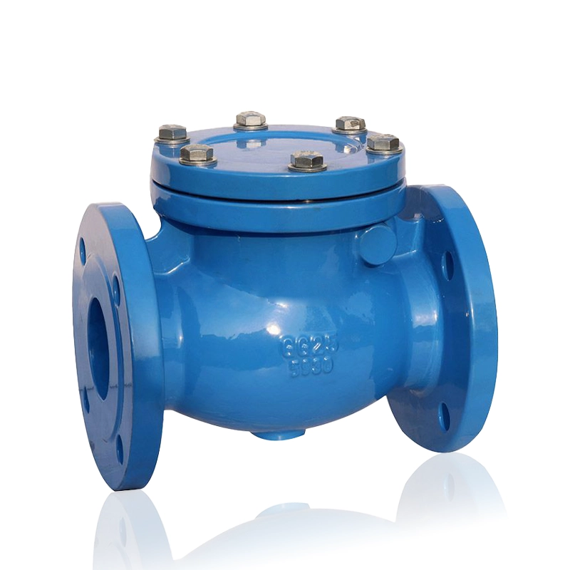 DIN Cast Iron check valve