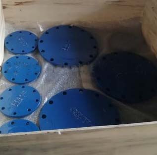 Fusion Bonded Epoxy Coating Blind Flange